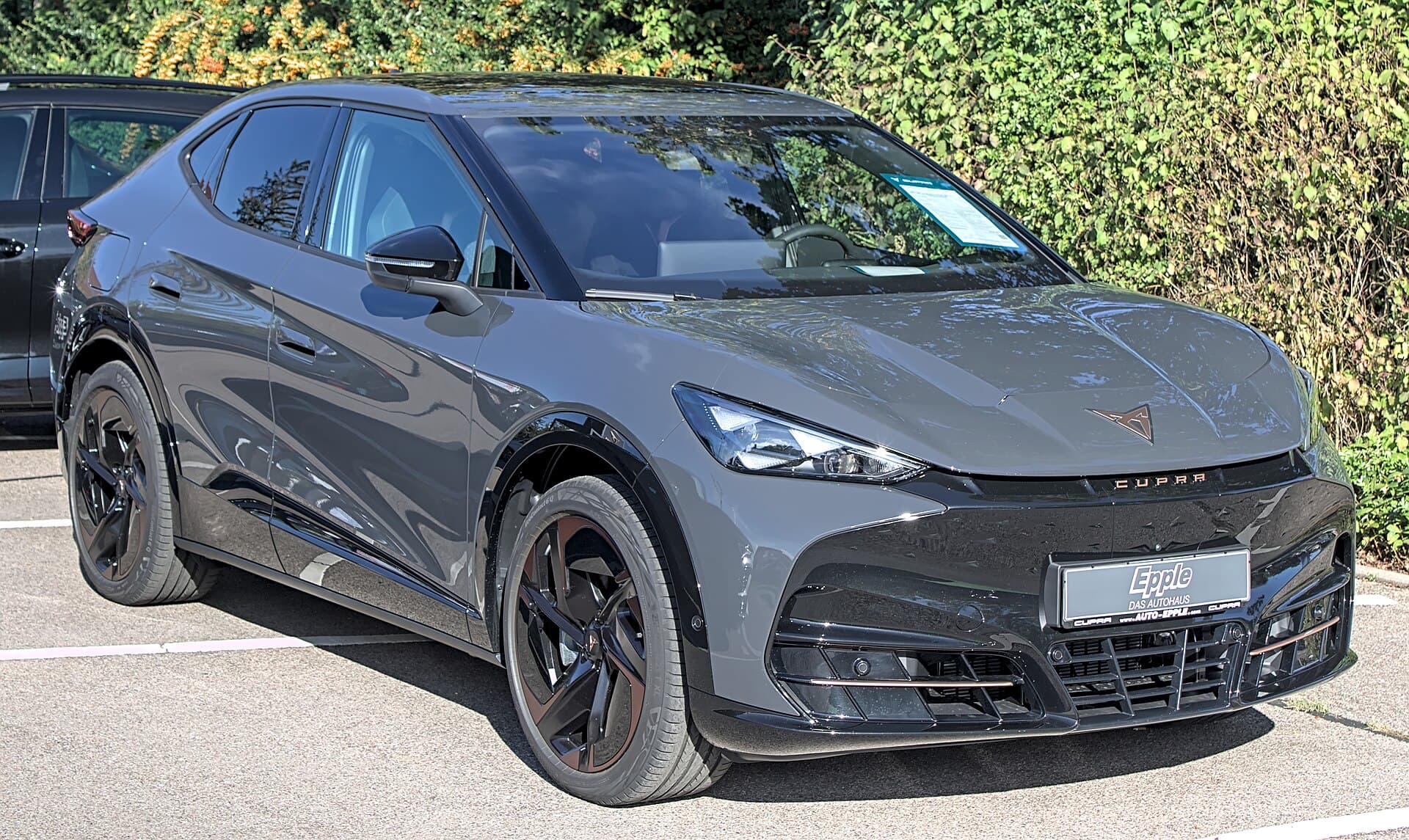 Cupra Tavascan Endurance